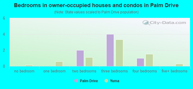 Bedrooms in owner-occupied houses and condos in Palm Drive