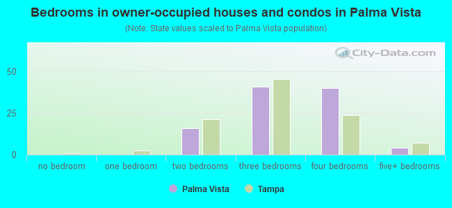 Bedrooms in owner-occupied houses and condos in Palma Vista