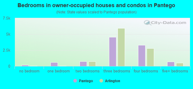 Bedrooms in owner-occupied houses and condos in Pantego