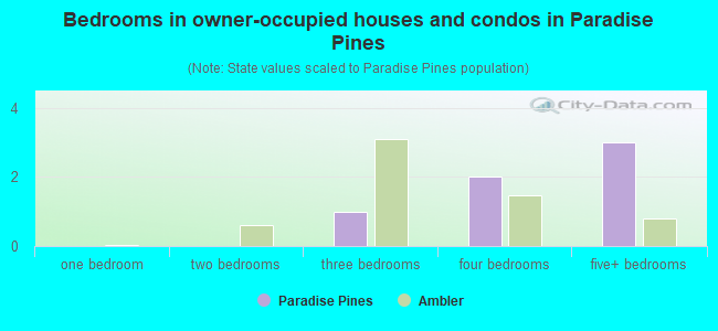 Bedrooms in owner-occupied houses and condos in Paradise Pines