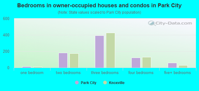 Bedrooms in owner-occupied houses and condos in Park City