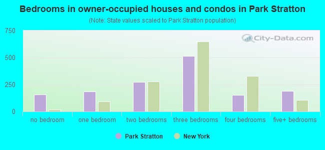 Bedrooms in owner-occupied houses and condos in Park Stratton