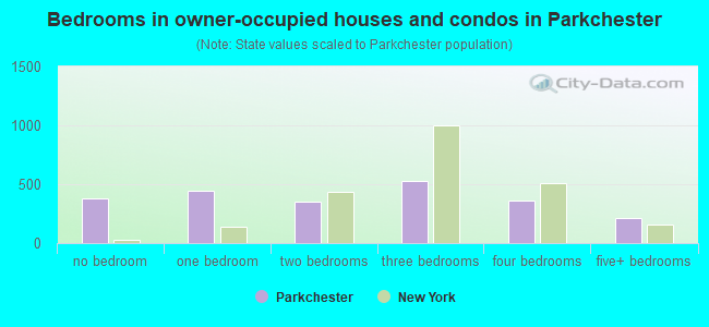 Bedrooms in owner-occupied houses and condos in Parkchester
