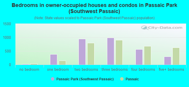 Bedrooms in owner-occupied houses and condos in Passaic Park (Southwest Passaic)