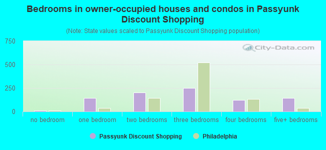 Bedrooms in owner-occupied houses and condos in Passyunk Discount Shopping