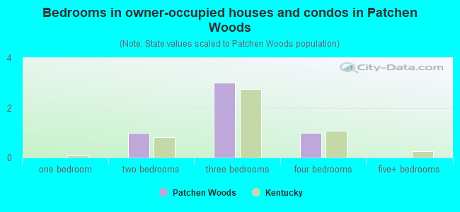 Bedrooms in owner-occupied houses and condos in Patchen Woods