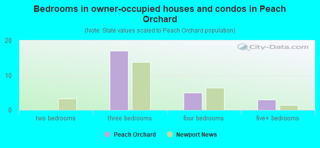 Bedrooms in owner-occupied houses and condos in Peach Orchard
