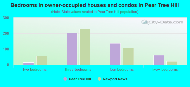 Bedrooms in owner-occupied houses and condos in Pear Tree Hill