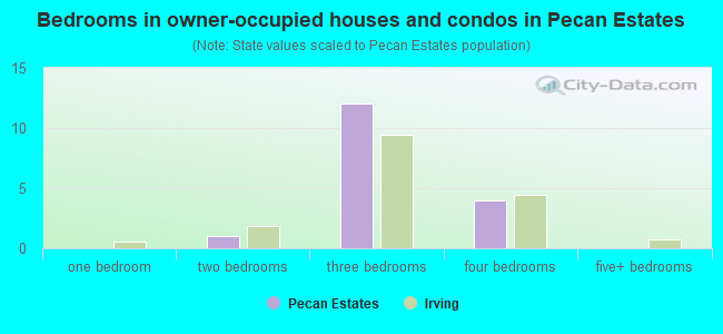 Bedrooms in owner-occupied houses and condos in Pecan Estates