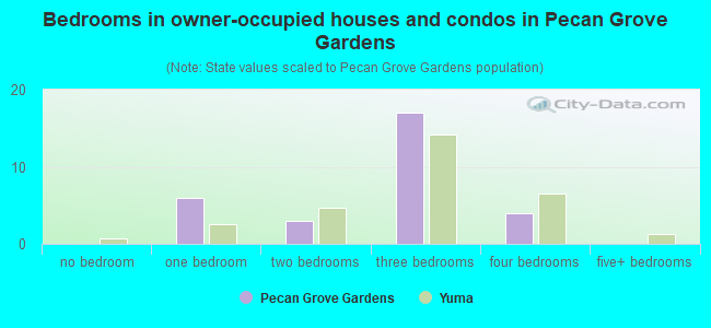 Bedrooms in owner-occupied houses and condos in Pecan Grove Gardens