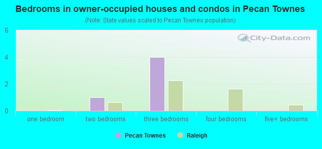 Bedrooms in owner-occupied houses and condos in Pecan Townes