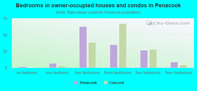Bedrooms in owner-occupied houses and condos in Penacook