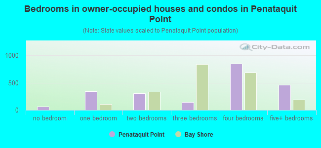 Bedrooms in owner-occupied houses and condos in Penataquit Point