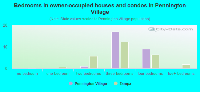 Bedrooms in owner-occupied houses and condos in Pennington Village