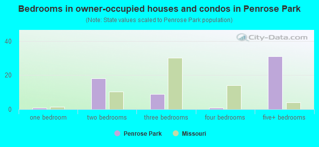 Bedrooms in owner-occupied houses and condos in Penrose Park