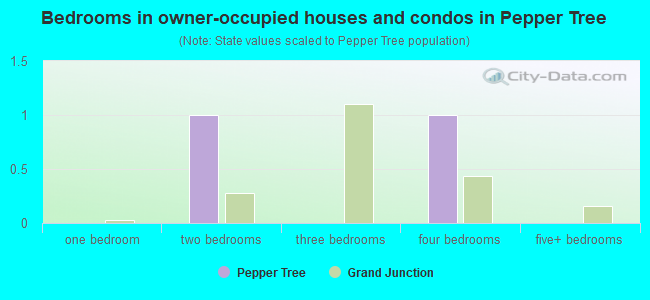 Bedrooms in owner-occupied houses and condos in Pepper Tree