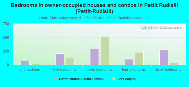 Bedrooms in owner-occupied houses and condos in Pettit Rudisill (Pettit-Rudisill)