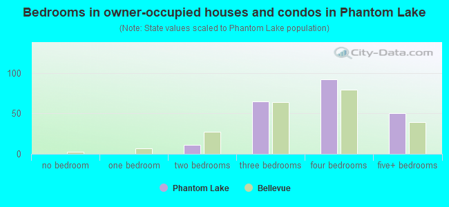 Bedrooms in owner-occupied houses and condos in Phantom Lake