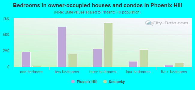 Bedrooms in owner-occupied houses and condos in Phoenix Hill