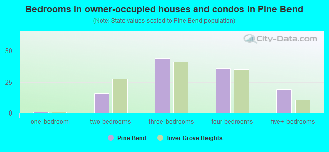 Bedrooms in owner-occupied houses and condos in Pine Bend