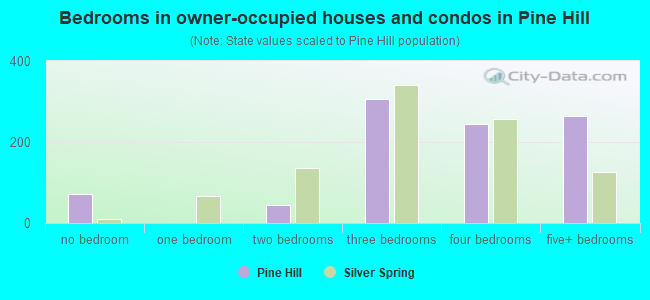 Bedrooms in owner-occupied houses and condos in Pine Hill
