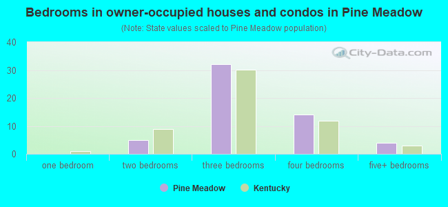 Bedrooms in owner-occupied houses and condos in Pine Meadow
