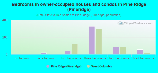 Bedrooms in owner-occupied houses and condos in Pine Ridge (Pineridge)