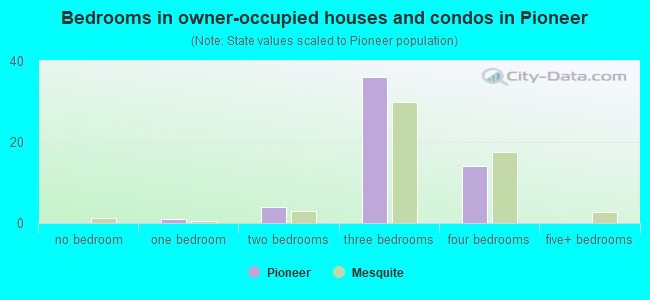 Bedrooms in owner-occupied houses and condos in Pioneer