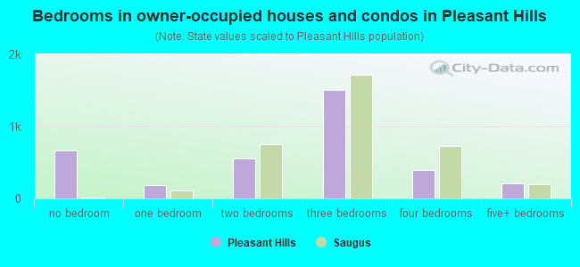 Bedrooms in owner-occupied houses and condos in Pleasant Hills