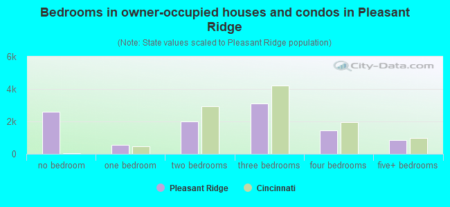 Bedrooms in owner-occupied houses and condos in Pleasant Ridge