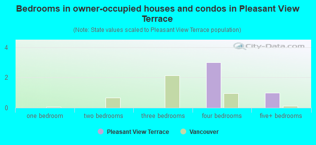 Bedrooms in owner-occupied houses and condos in Pleasant View Terrace