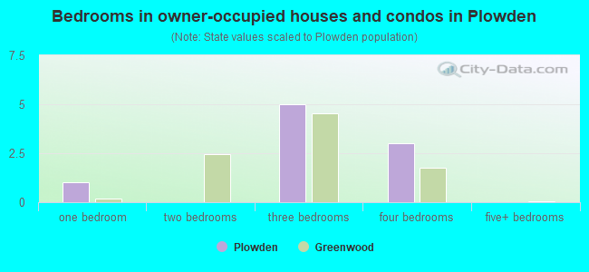 Bedrooms in owner-occupied houses and condos in Plowden