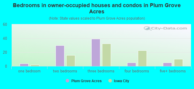 Bedrooms in owner-occupied houses and condos in Plum Grove Acres