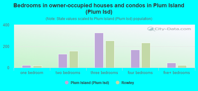 Bedrooms in owner-occupied houses and condos in Plum Island (Plum Isd)
