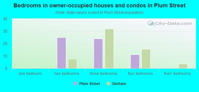 Bedrooms in owner-occupied houses and condos in Plum Street