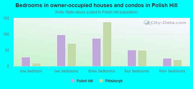Bedrooms in owner-occupied houses and condos in Polish Hill