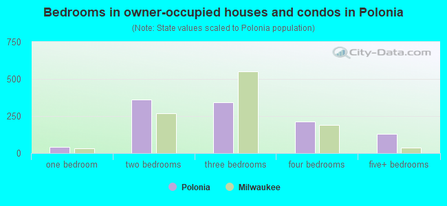 Bedrooms in owner-occupied houses and condos in Polonia