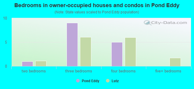 Bedrooms in owner-occupied houses and condos in Pond Eddy