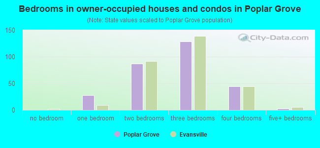 Bedrooms in owner-occupied houses and condos in Poplar Grove