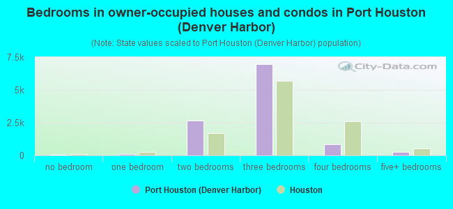 Bedrooms in owner-occupied houses and condos in Port Houston (Denver Harbor)