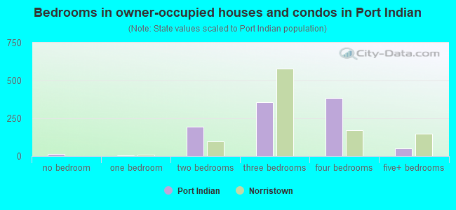 Bedrooms in owner-occupied houses and condos in Port Indian