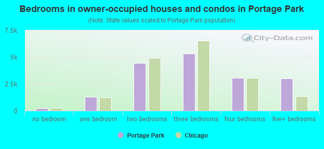 Bedrooms in owner-occupied houses and condos in Portage Park