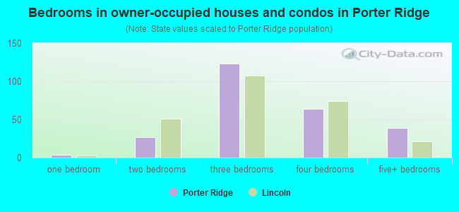 Bedrooms in owner-occupied houses and condos in Porter Ridge