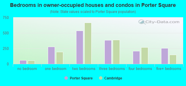 Bedrooms in owner-occupied houses and condos in Porter Square
