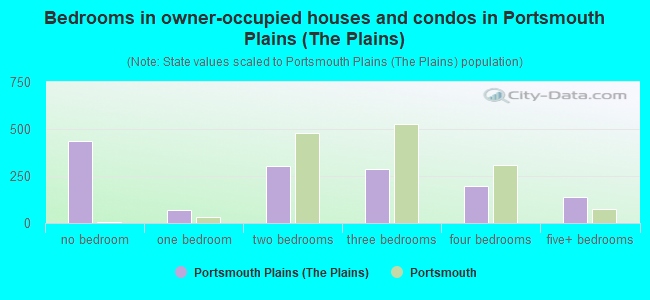 Bedrooms in owner-occupied houses and condos in Portsmouth Plains (The Plains)