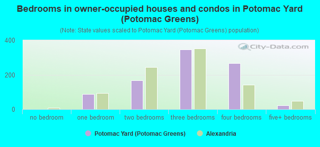 Bedrooms in owner-occupied houses and condos in Potomac Yard (Potomac Greens)