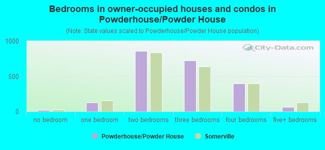 Bedrooms in owner-occupied houses and condos in Powderhouse/Powder House