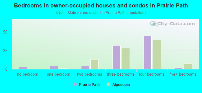 Bedrooms in owner-occupied houses and condos in Prairie Path