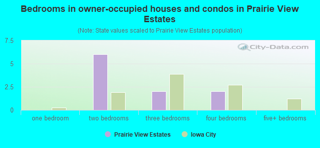 Bedrooms in owner-occupied houses and condos in Prairie View Estates