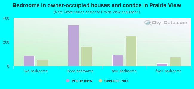 Bedrooms in owner-occupied houses and condos in Prairie View